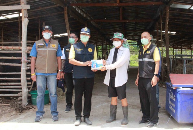 เร่งช่วยเกษตรกรประสบปัญหาโรคลัมปีสกินระบาดพบลาม9อำเภอ