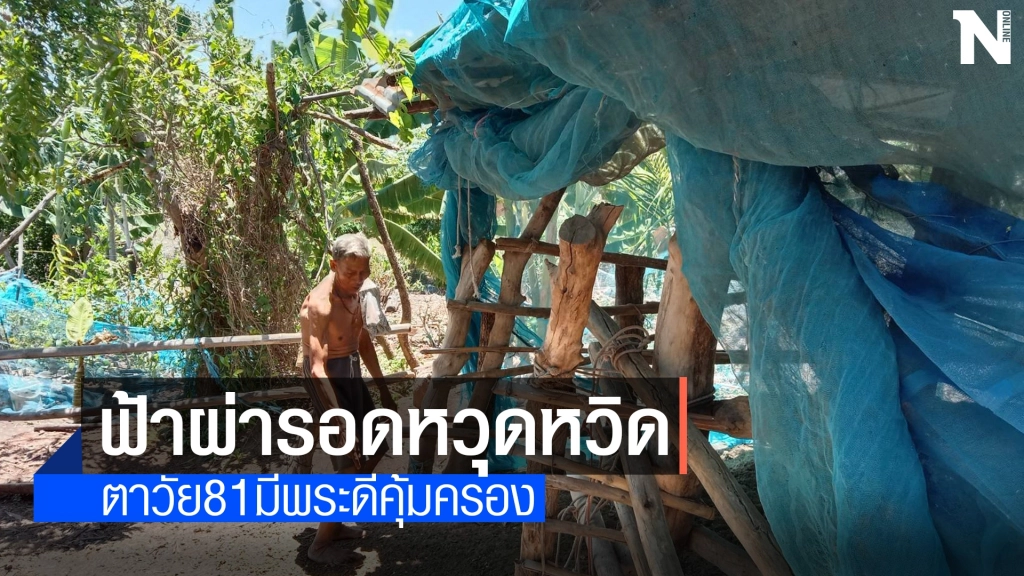 รอดหวุดหวิด คุณตาชาวบัวใหญ่ถูกฟ้าฝ่าขณะต้อนวัวเข้าคอก