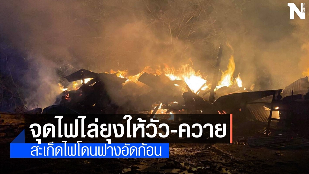 จุดไฟไล่ยุงให้วัว สะเก็ดไฟกระเด็นกองฟางวอด จุดไฟไล่ยุงให้วัว สะเก็ดไฟกระเด็นกองฟางวอด