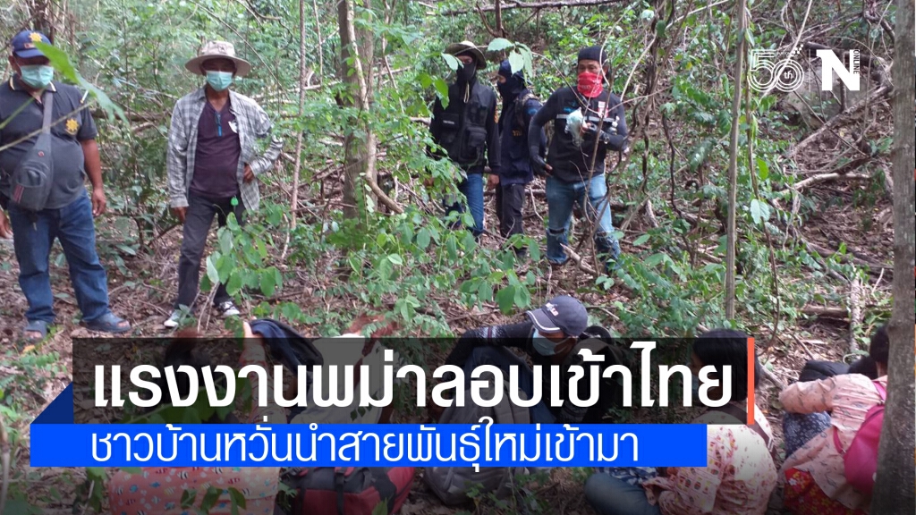 ไล่จับ 17 เมียนมาหนีเข้าไทย ขายแรงงานโรงงานปลากระป๋อง ไล่จับ 17 เมียนมาหนีเข้าไทย ขายแรงงานโรงงานปลากระป๋อง