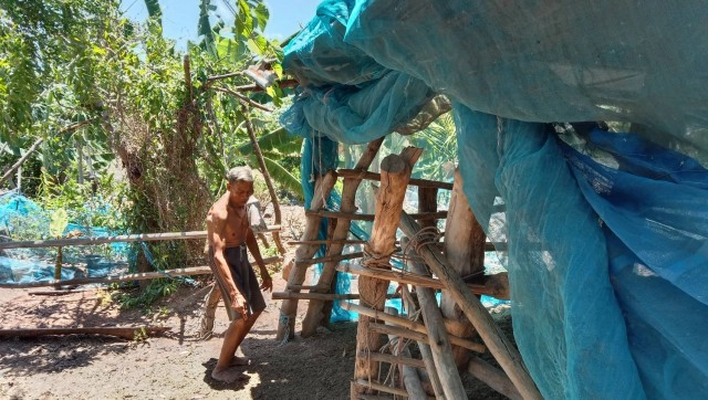 รอดหวุดหวิด คุณตาชาวบัวใหญ่ถูกฟ้าฝ่าขณะต้อนวัวเข้าคอก