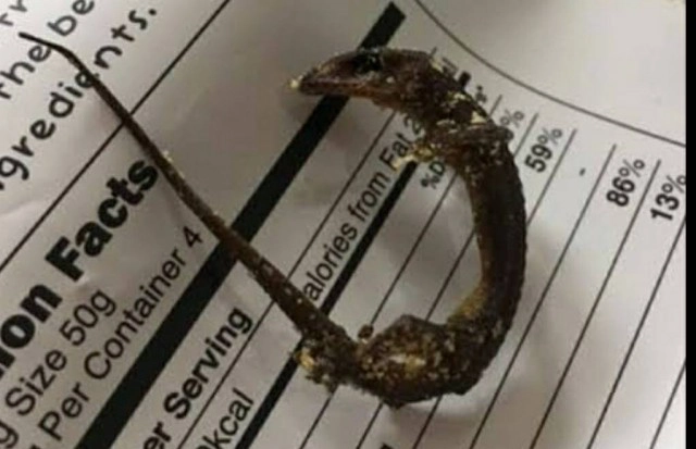 จิ้งจกตัวเดียวแท้ๆ ต้องรื้อรถทั้งคัน