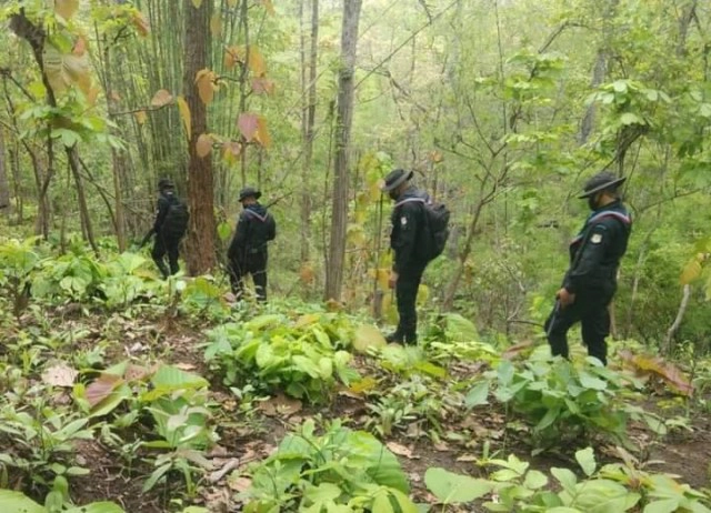 ทหารพรานที่36ส่งกำลังพลเฝ้าระวังชายแดน