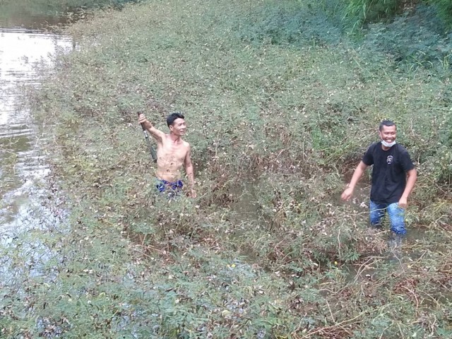 หลานฉุนปู่ดุด่าเสพยาใช้มีดฟันปู่ดับ