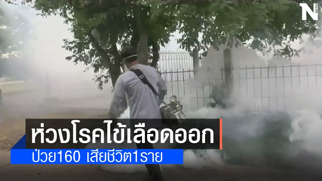 อีสานตอนล่างป่วยไข้เลือดออก160รายดับ1ราย อีสานตอนล่างป่วยไข้เลือดออก160รายดับ1ราย