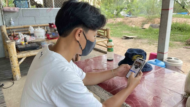 บทเรียนราคาแพงซื้อพันธุ์หมูติดเชื้อจากโลกออนไลน์