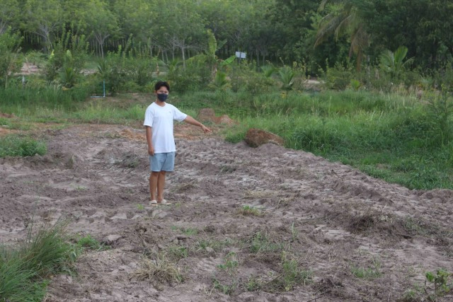 บทเรียนราคาแพงซื้อพันธุ์หมูติดเชื้อจากโลกออนไลน์