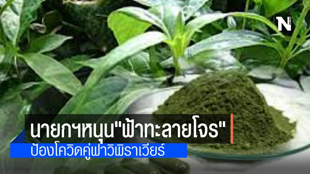นายกฯ หนุนใช้ ฟ้าทะลายโจร คู่ ฟาวิพิราเวียร์ พร้อมดันไทยเป็นผู้นำส่งออกวัตถุดิบและผลิตภัณฑ์สมุนไพร