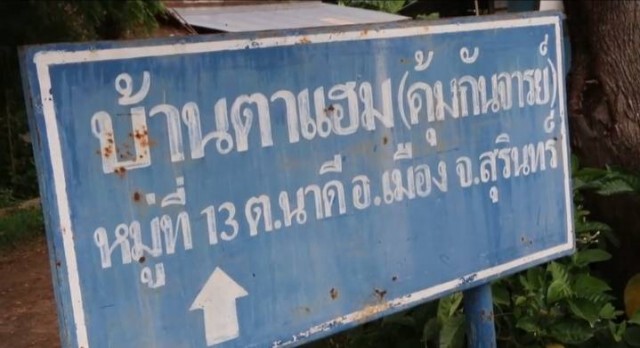 ปลูกข้าวประชดกลางถนนพระจันทร์