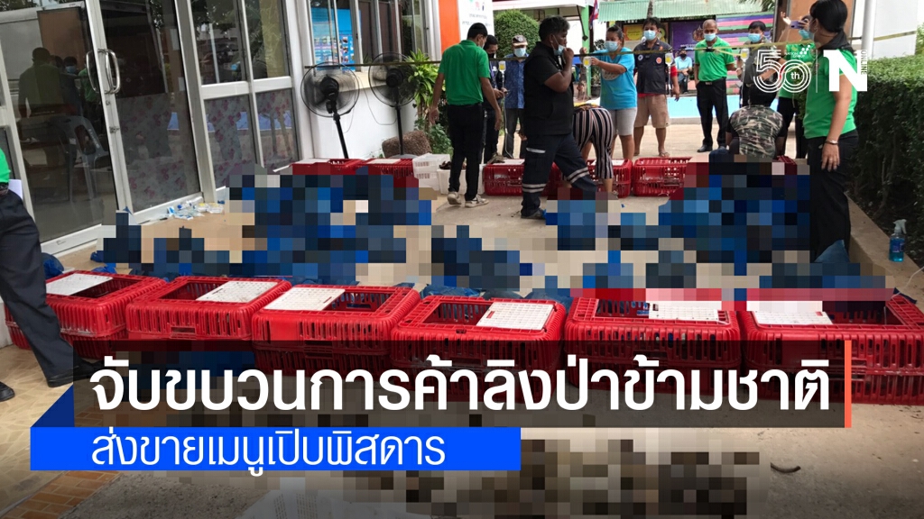จับขบวนการลักลอบค้า "ลิงป่า" ข้ามชาติ เตรียมส่งขายเมนูเปิบพิสดาร จับขบวนการลักลอบค้า "ลิงป่า" ข้ามชาติ เตรียมส่งขายเมนูเปิบพิสดาร