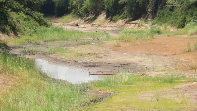 "แม่น้ำยม"แห้งขอดนาน6เดือน