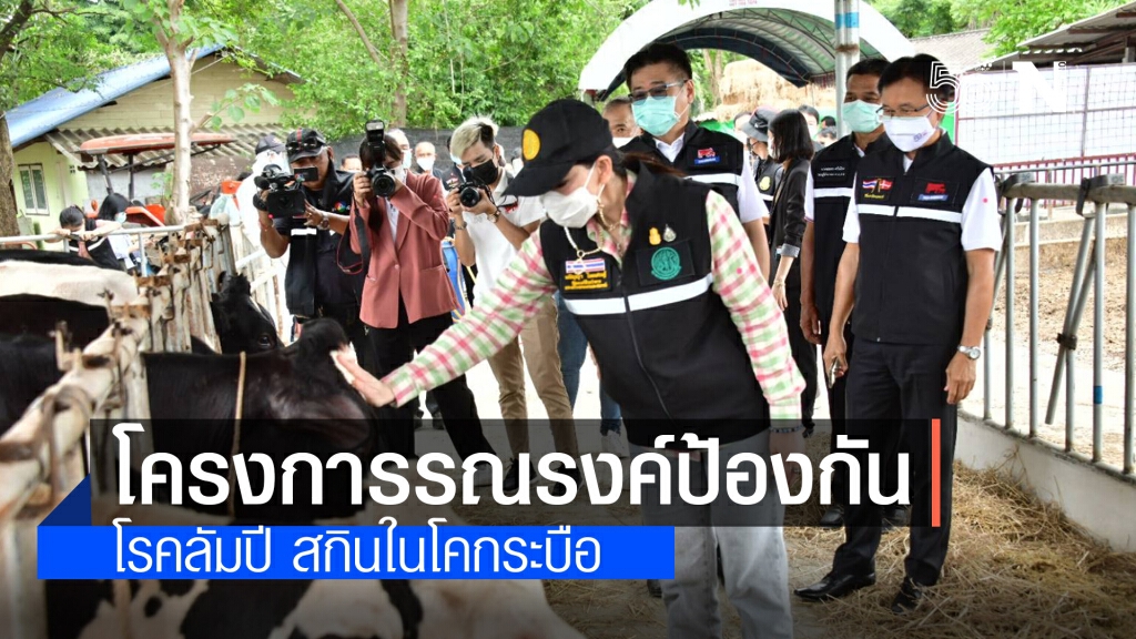 'มนัญญา 'เปิดโครงการรณรงค์ป้องกันโรคลัมปี สกินในโคกระบือ