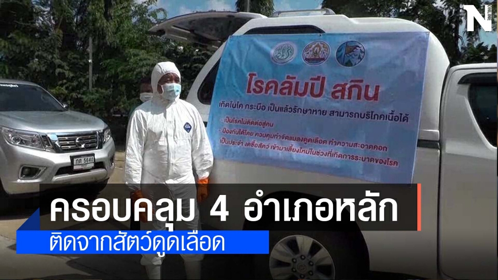 ผวาติดเชื้อลัมปีสกินแล้ว 20 ตัว