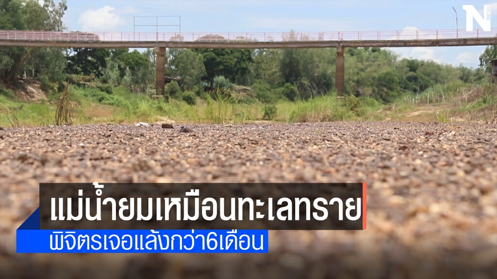 เกษตรกรชาวพิจิตรโอดแม่น้ำยมตอนกลางแห้งขอด เกษตรกรชาวพิจิตรโอดแม่น้ำยมตอนกลางแห้งขอด