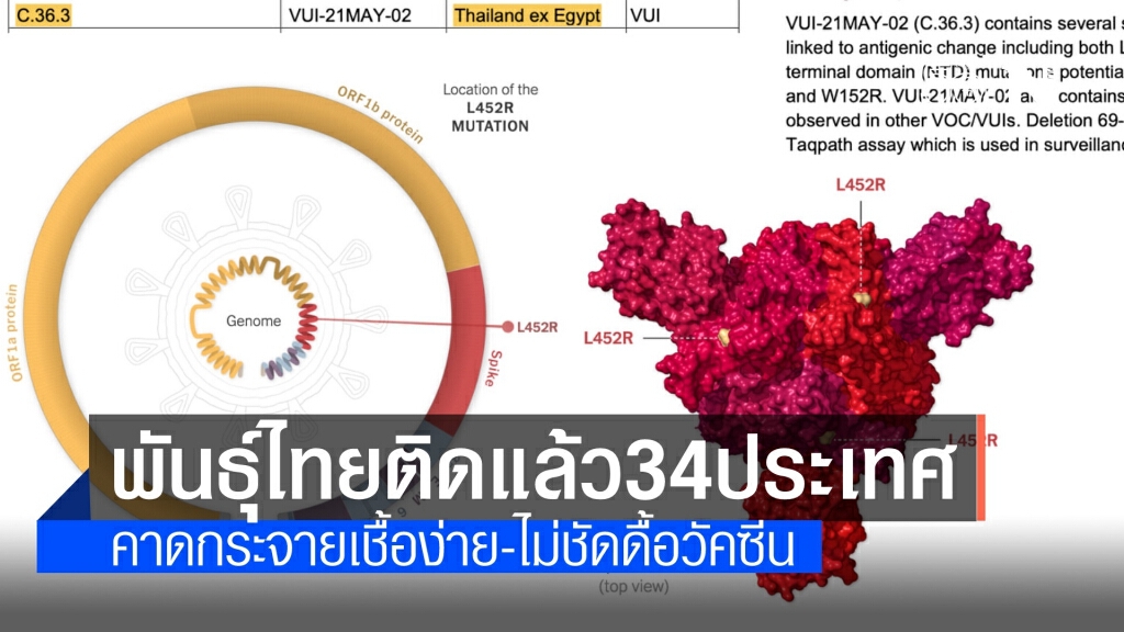 โควิด "สายพันธุ์ไทย" ลาม 34 ประเทศ พบกระจายเชื้อง่าย โควิด "สายพันธุ์ไทย" ลาม 34 ประเทศ พบกระจายเชื้อง่าย