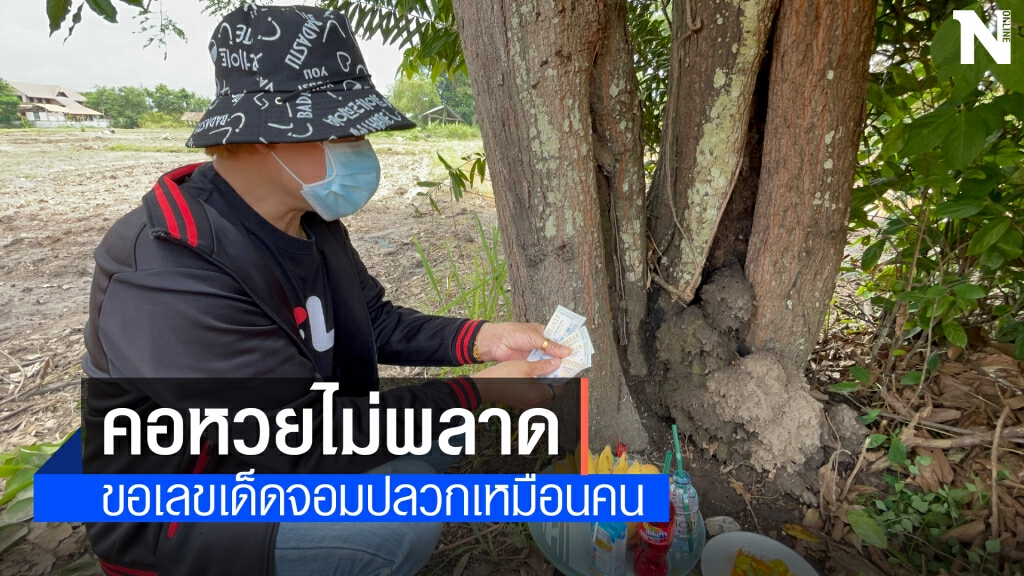 ฮือฮาจอมปลวกคล้ายคนอุ้มลูกคอหวยไม่พลาดแห่ขอโชคลาภ ฮือฮาจอมปลวกคล้ายคนอุ้มลูกคอหวยไม่พลาดแห่ขอโชคลาภ