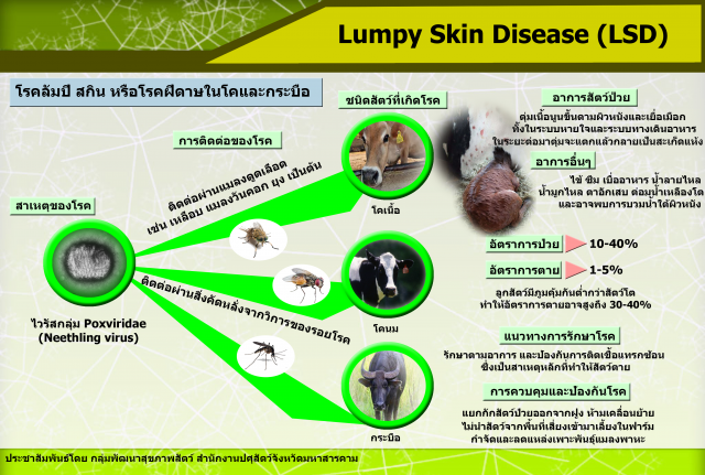 KICK OFF มาตรการป้องกันโรคลัมปี สกินในโค-กระบือ