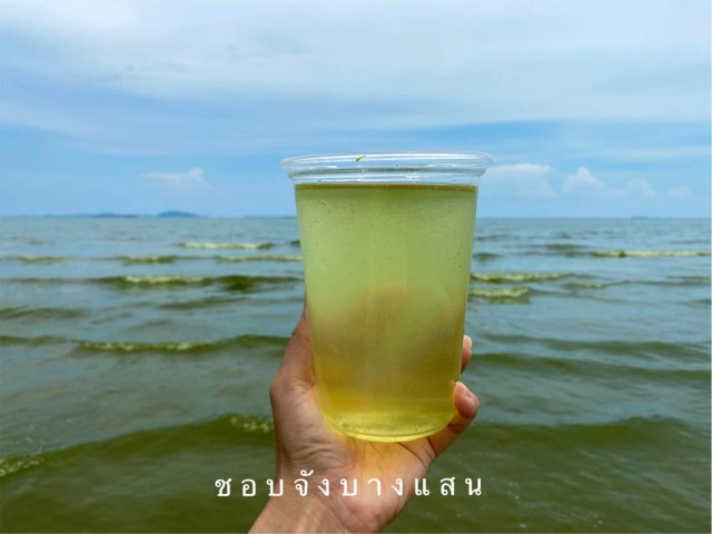 แห่แชร์ทะเลบางแสน เกิดปรากฎการณ์ "ขี้วาฬ" น้ำสีชาเขียว