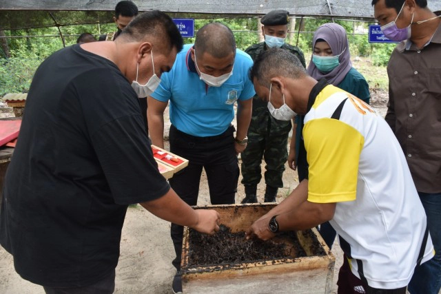 เชื่อมเครือข่ายกลุ่มเลี้ยงผึ้งชันโรงเกาะแลหนัง