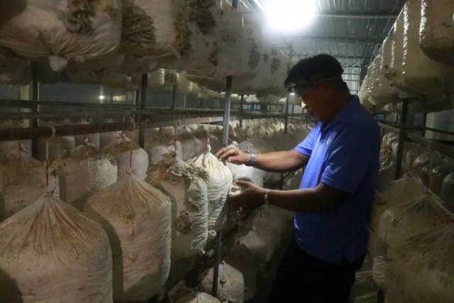 "โปรอ้วน"ลุยฟาร์มเห็ดออร์แกนิค