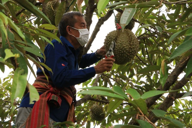ผู้ว่าฯติดตามโครงการสุรินทร์รุ่งเรืองสู่เมืองเกษตรอินทรีย์
