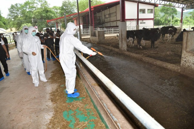 'มนัญญา 'เปิดโครงการรณรงค์ป้องกันโรคลัมปี สกินในโคกระบือ