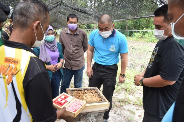เชื่อมเครือข่ายกลุ่มเลี้ยงผึ้งชันโรงเกาะแลหนัง