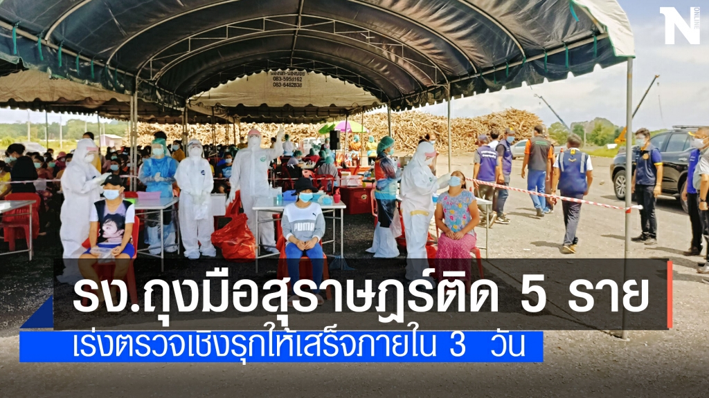 รง.ศรีตรังโกลฟส์สาขาสุราษฎร์ธานีติดโควิด 5 ราย
