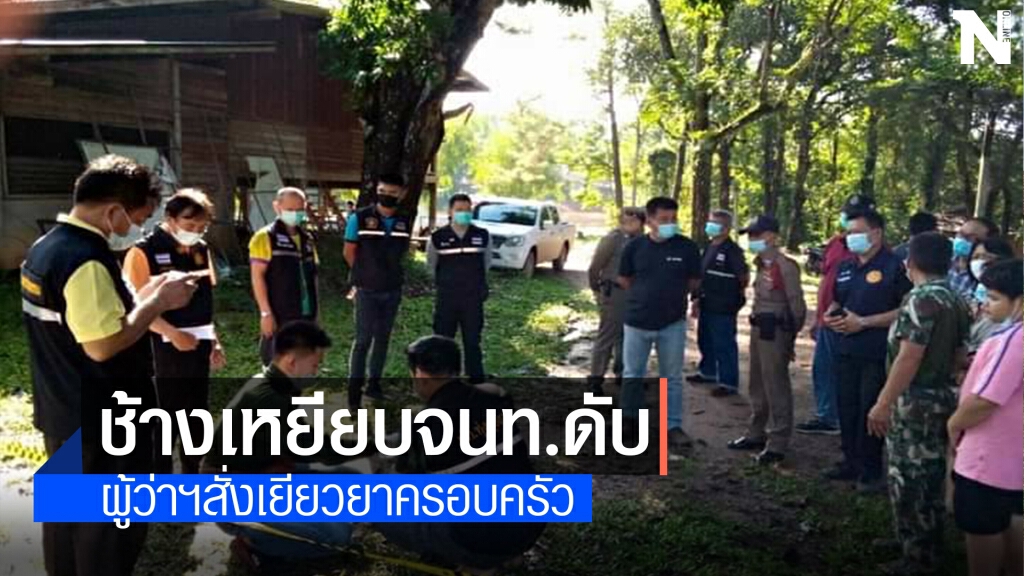 สลด ช้างป่าภูเขียวเหยียบ จนท.ป่าไม้ดับ