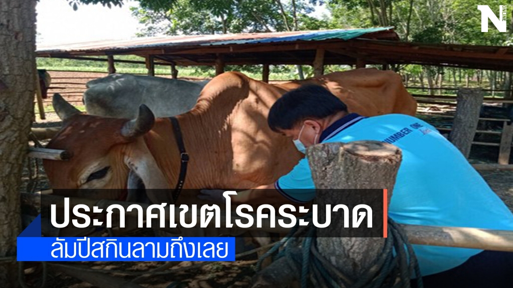เลยประกาศเขตโรคระบาดสัตว์ ห้ามเคลื่อนย้าย