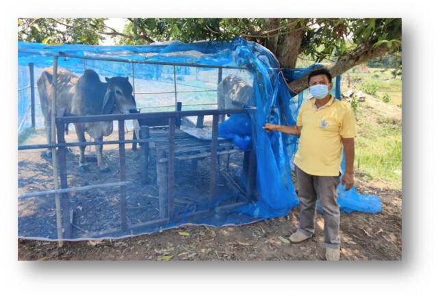 เลยประกาศเขตโรคระบาดสัตว์ ห้ามเคลื่อนย้าย