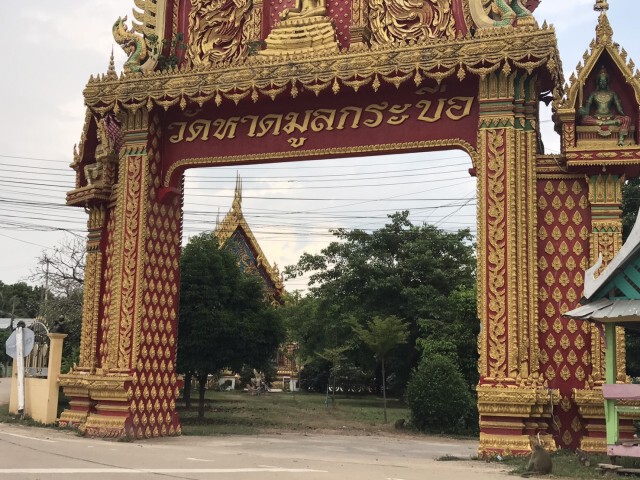 ฝูงลิงพิจิตรยังอยู่ครบไม่ได้ถูกส่งขายต่างประเทศ
