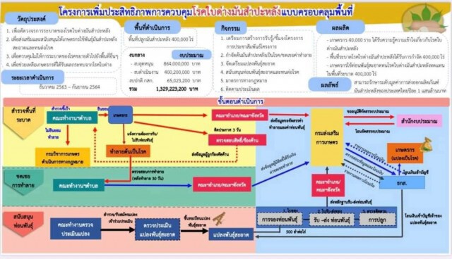 "เฉลิมชัย" สั่งเดินหน้าลุยปราบโรคใบด่างมันสำปะหลัง