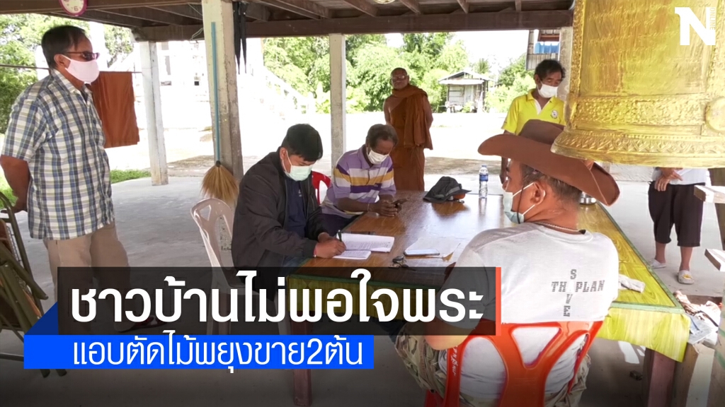 ร้องสื่อคดีไม่คืบ พระจ้างคนตัดไม้พยุงในวัด2ต้น