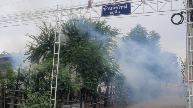 ห่วงโรคไข้เลือดออกปีนี้โคราชป่วยสะสม84 ราย