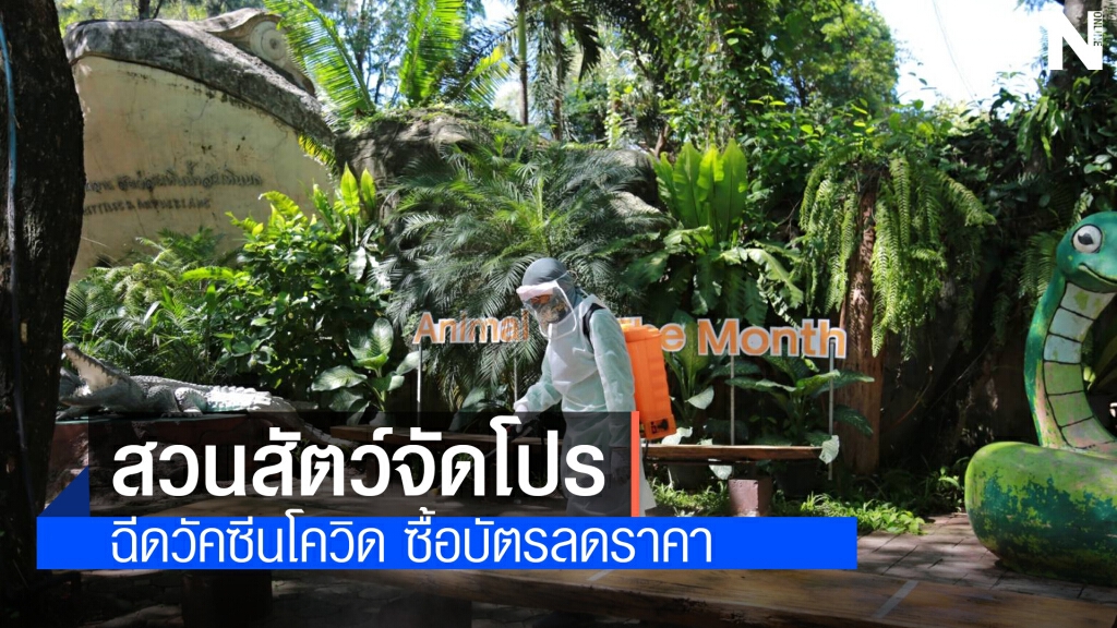Zoo New Norm สวนสัตว์โคราช เปิดบริการวิถีใหม่ จัดโปรคนไทยร่วมใจฉีดวัคซีน