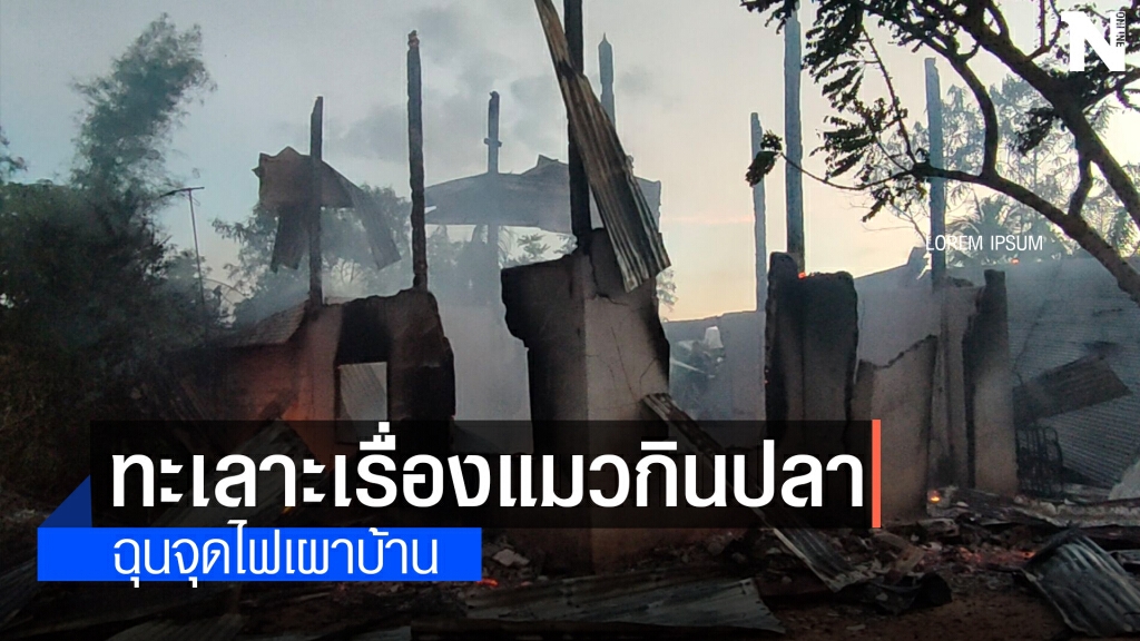 หลานป่วยจิตคลั่งแค่ทะเลาะเรื่องแมวกินปลาจุดไฟเผาบ้าน