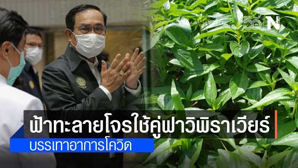 "ประยุทธ์" ชี้ใช้ฟ้าทะลายโจรควบคู่ฟาวิพิราเวียร์ บรรเทาป่วยโควิดได้