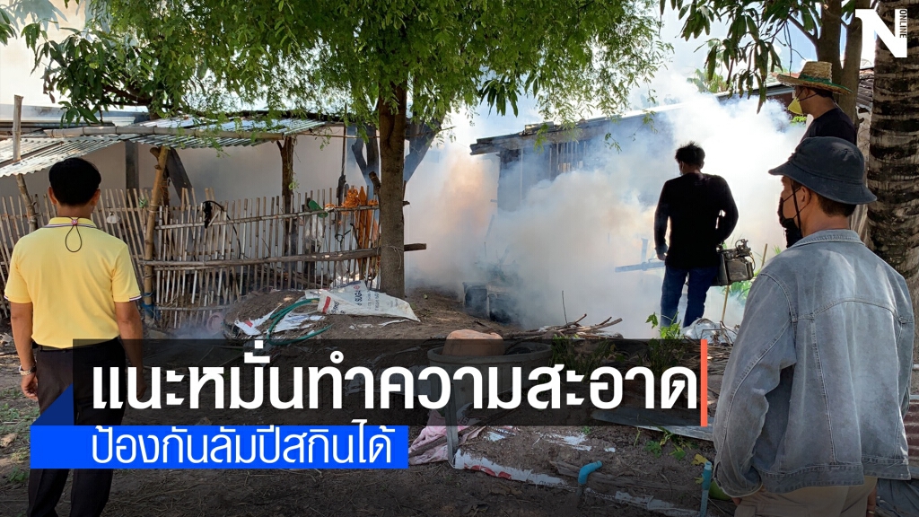 โรคลัมปีสกีนในวัว คอกสะอาดปราศจากแมลง ป้องกันได้