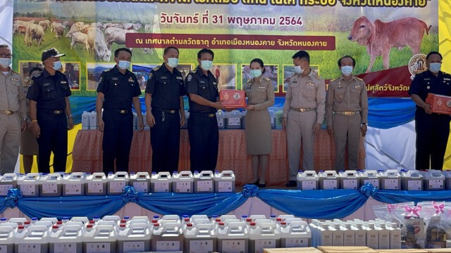 พบวัวป่วยโรคลัมปีสกินนับพันตัวทั้ง9อำเภอเร่งช่วยเหลือ