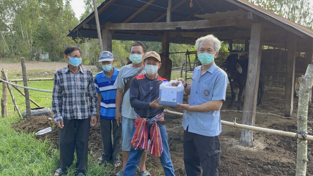 พบวัวป่วยโรคลัมปีสกินนับพันตัวทั้ง9อำเภอเร่งช่วยเหลือ