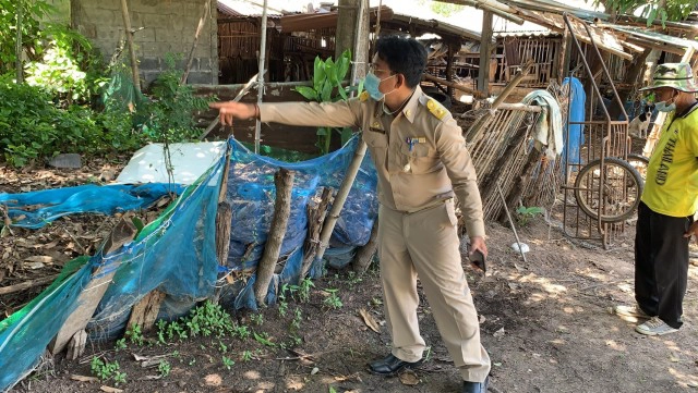 โรคลัมปีสกีนในวัว คอกสะอาดปราศจากแมลง ป้องกันได้