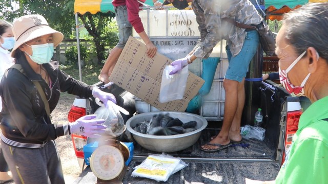 ผู้ว่าฯนำทีมรถเร่ออกจำหน่ายสินค้าเกษตรเกรดเอ