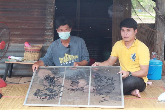 เปิดใจเซียนล่าปลิงควายดูดเลือด อาชีพแปลกสุด