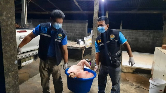 บุกจับโรงฆ่าสัตว์เถื่อนชายแดนไทยลาว