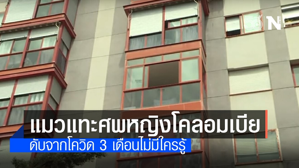 สลด! แมวแทะศพเจ้าของที่ดับจากโควิด สลด! แมวแทะศพเจ้าของที่ดับจากโควิด