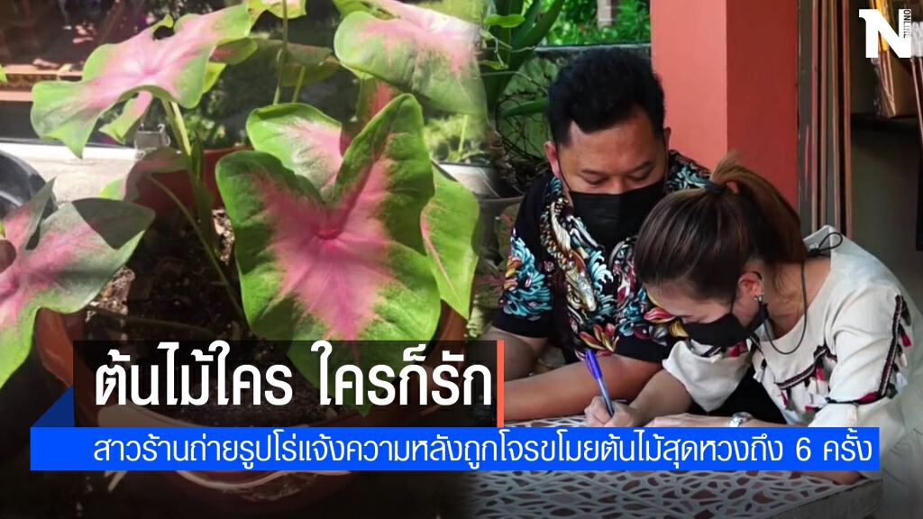 สุดทน!โจรฉกต้นไม้หน้าร้าน 6 ครั้ง สุดทน!โจรฉกต้นไม้หน้าร้าน 6 ครั้ง