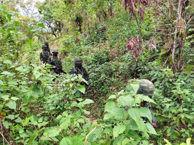 ลาดตระเวนคุมเข้มชายแดน