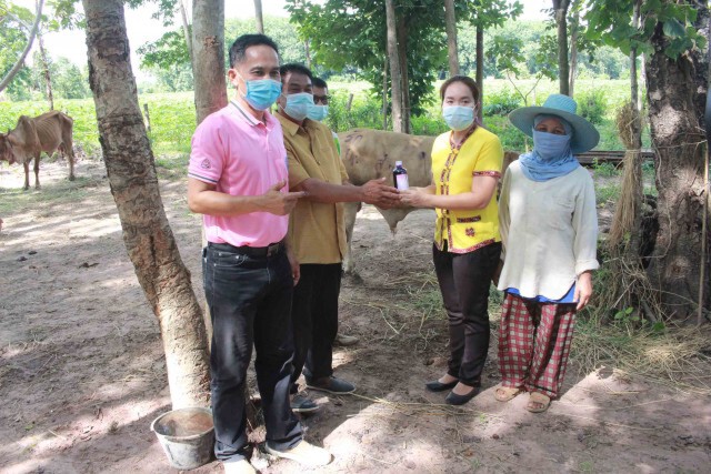 เร่งช่วยเกษตรกรประสบปัญหาฝูงโคป่วยโรคลัมปี สกิน