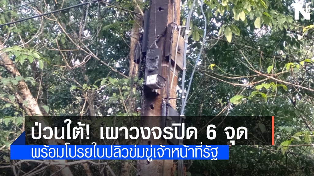 ป่วนใต้!! เผากล้องวงจรปิด 6 จุด ป่วนใต้!! เผากล้องวงจรปิด 6 จุด